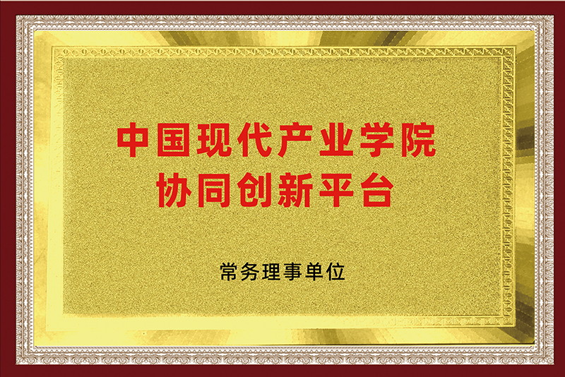 荣誉13